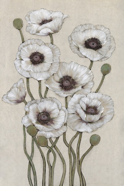 Tall White Poppies II