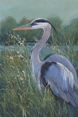 Wading Heron I