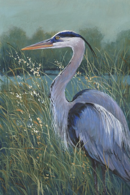 Wading Heron I