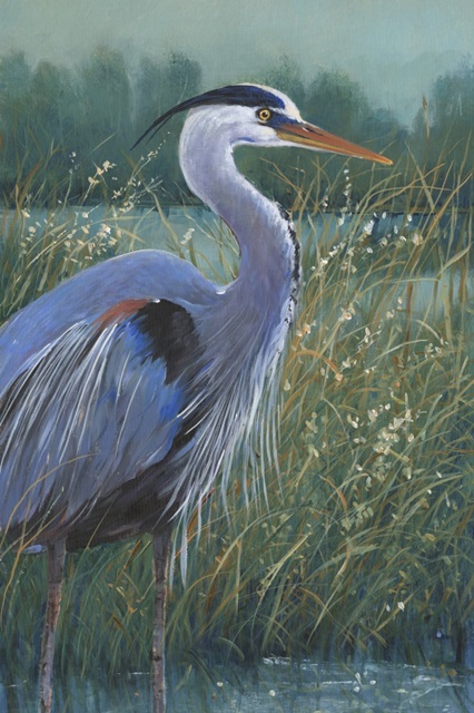 Wading Heron II