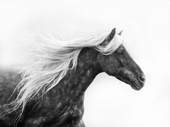 Running In the Wind I