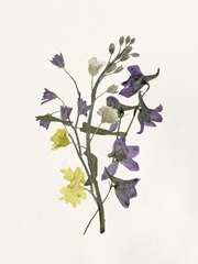 Lavender Pressed Keepsakes II