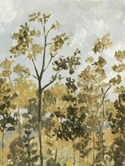 Edge of the Forest II