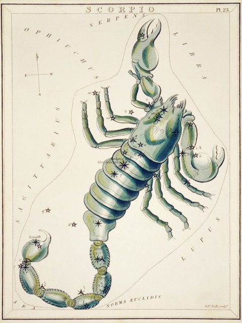 Hall's Astronomical Illustrations XIII