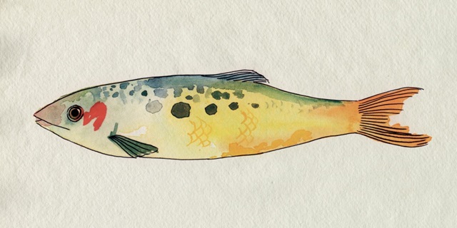 Fanciful Fish I