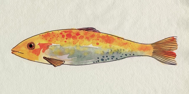 Fanciful Fish II