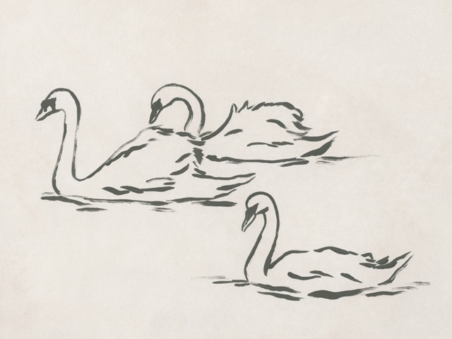 Swan Sketch I