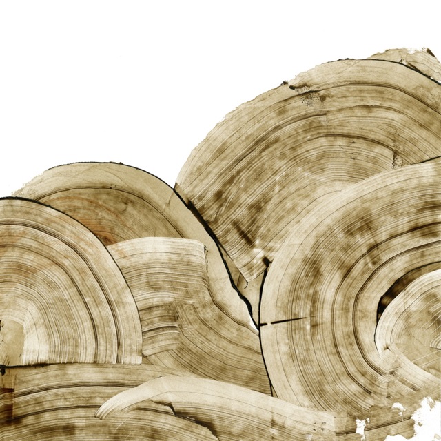 Overlapping Tree Rings I