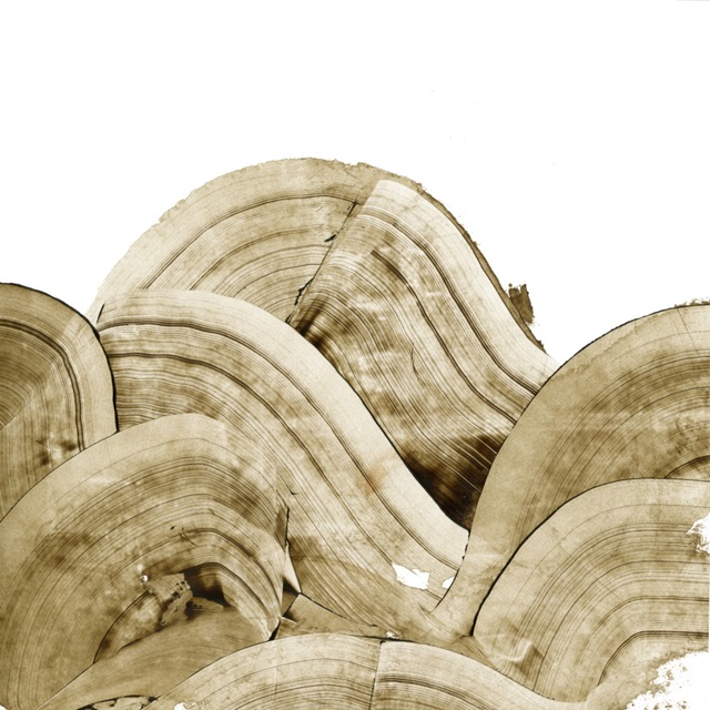 Overlapping Tree Rings II