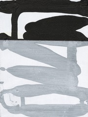 Obscured From View II