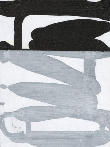 Obscured From View II