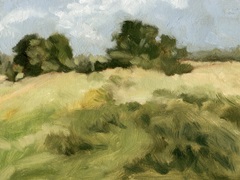 Breezy Meadow I