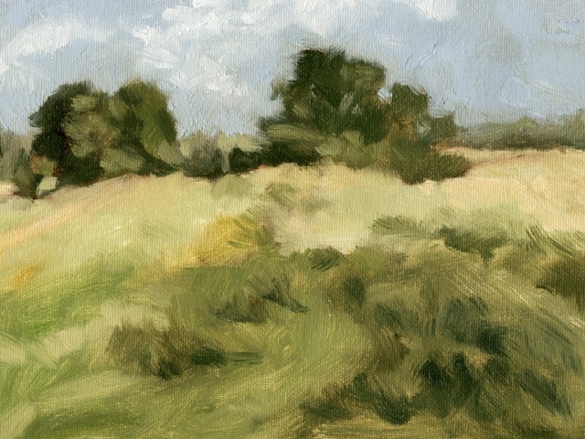 Breezy Meadow I