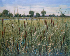 Cattail Marsh I