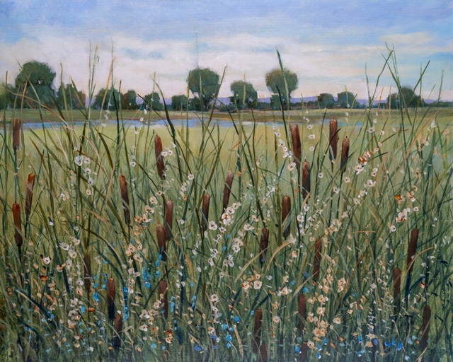 Cattail Marsh I