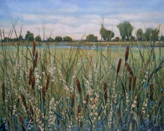 Cattail Marsh II