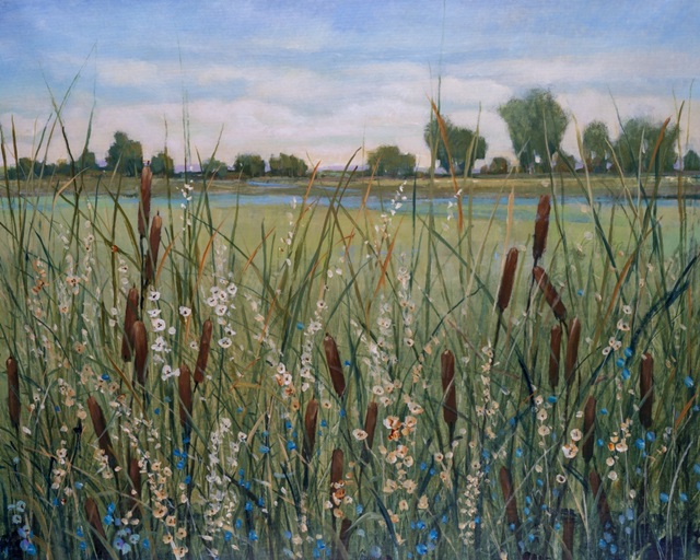 Cattail Marsh II