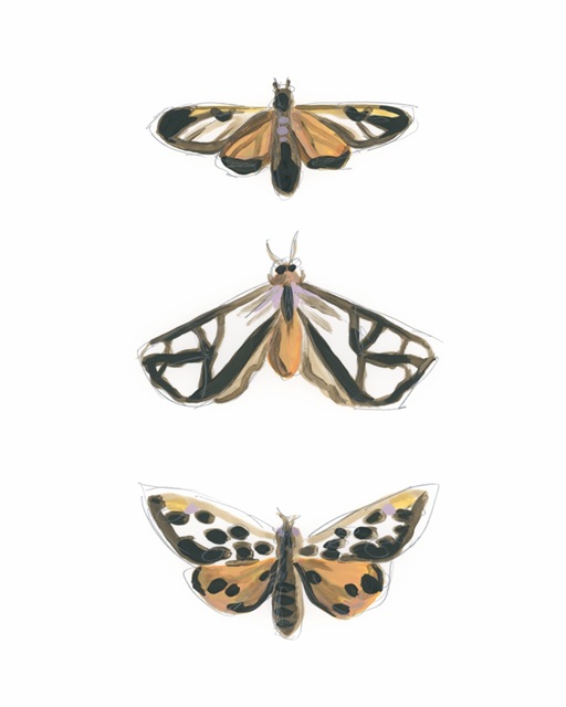 Yellow Moths I