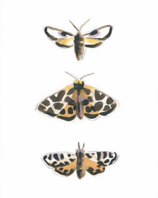 Yellow Moths II