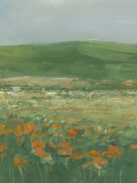 Summer Poppy Field II