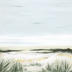 Sunbleached Beach II