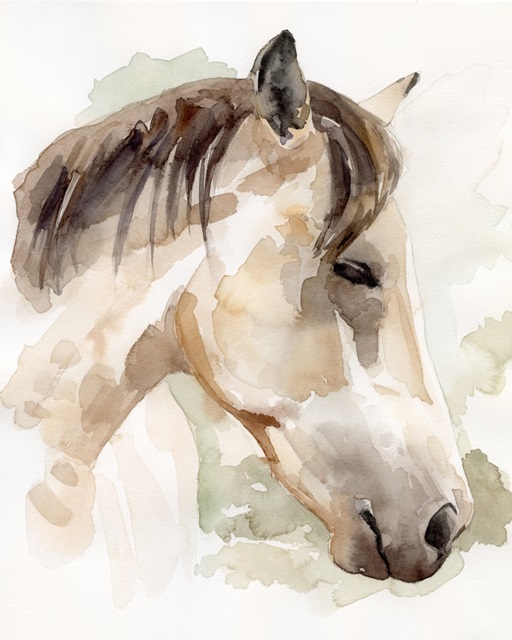 Soft Horse Profile I