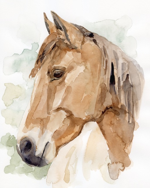 Soft Horse Profile II