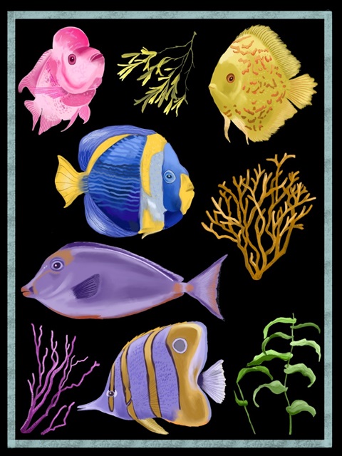 Colorful Fish I