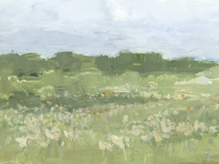 Wildflower Valley II