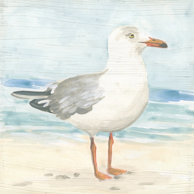Seaside Seagull I