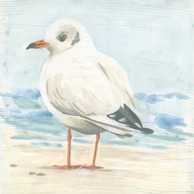 Seaside Seagull II