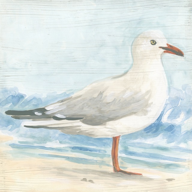 Seaside Seagull III