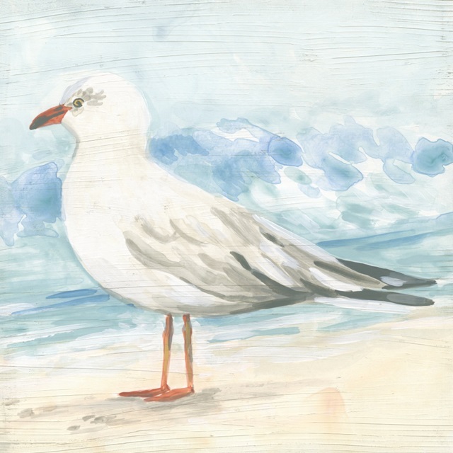 Seaside Seagull IV