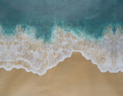 Printed Birdseye Shoreline I