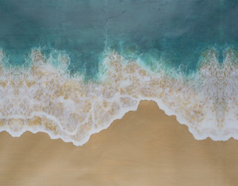 Printed Birdseye Shoreline I