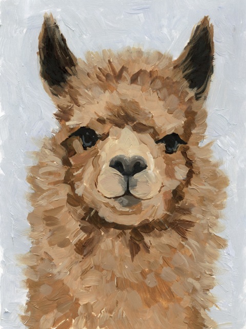 Sweetest Alpaca I