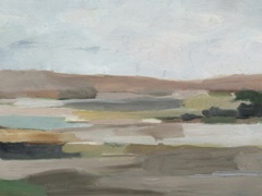 Linear Desert View II