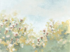 Hazy Flower Meadow I
