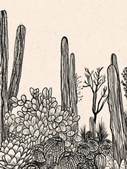 Cactus Drawing II