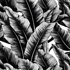 Black Banana Leaves