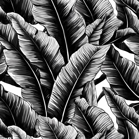 Black Banana Leaves