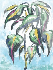 Candy Palm Fresco IV