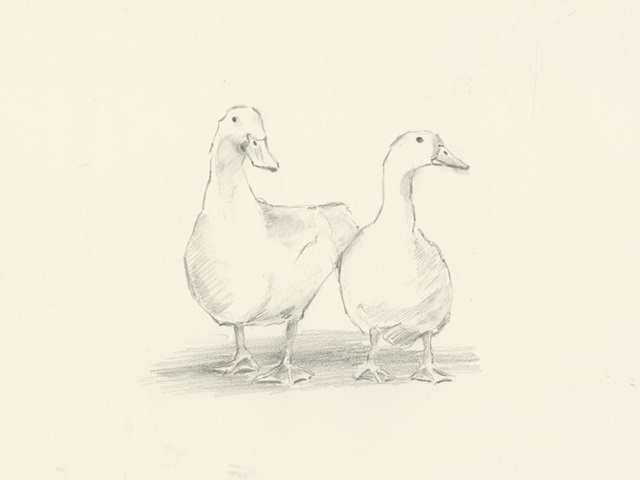 Quack Quack II