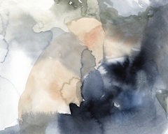 Apricot & Navy Swash I