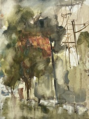 The Park