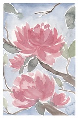 Pink Magnolia II