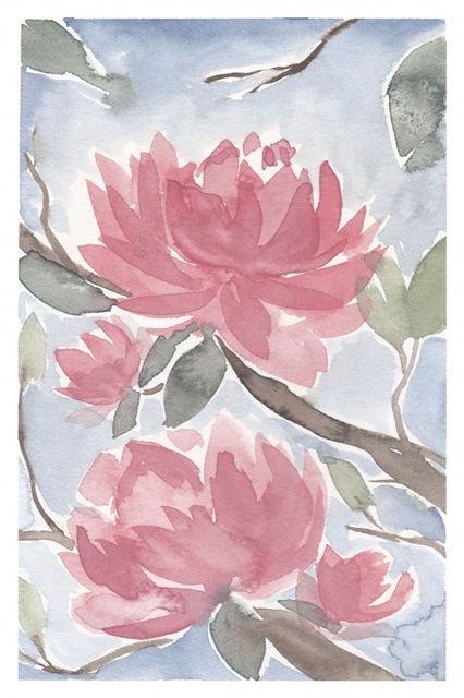 Pink Magnolia II