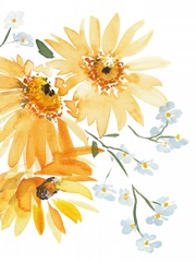 Glowing Sunflowers II