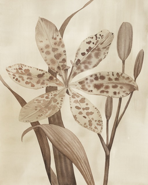 Leopard Lily I