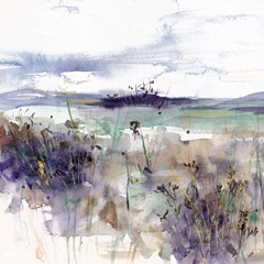 Fields At Sunset I